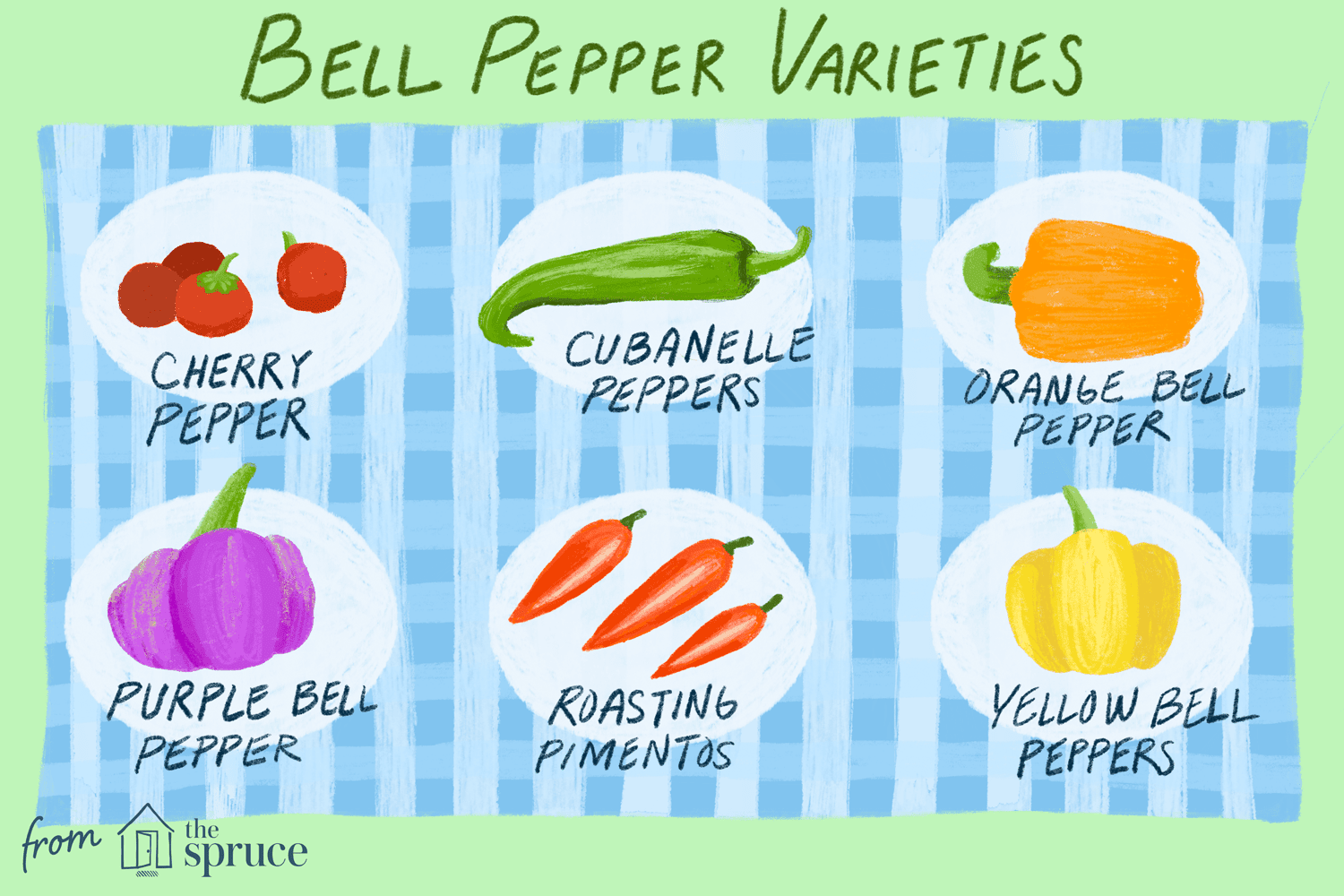 The Health Encapsulated in Bell Peppers: Nutrients and Benefits Differ by Color