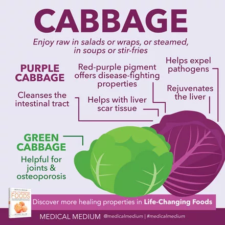 Enjoying Delicious Health: The Benefits of Cabbage and Various Recipes
