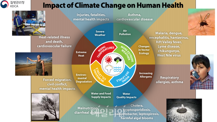 Our Health is Under Threat! The Impact of Climate Change on Our Bodies