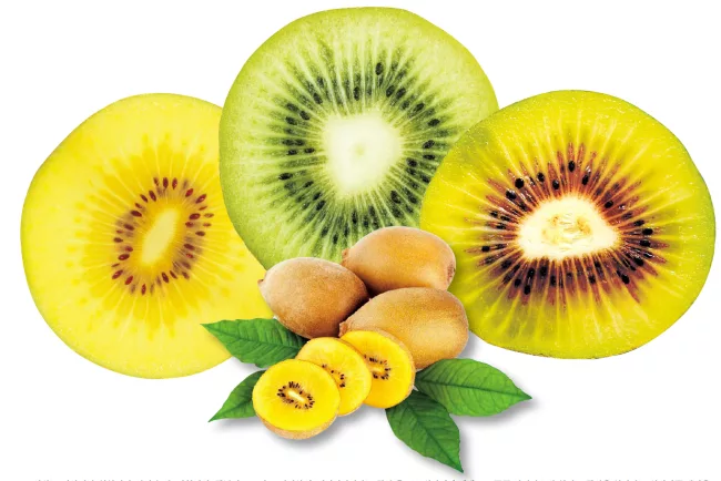 Kiwi