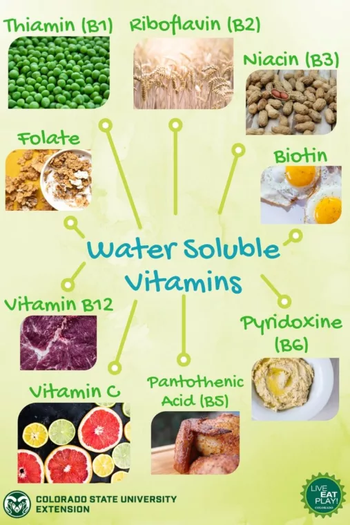 The Basics of Vitamins