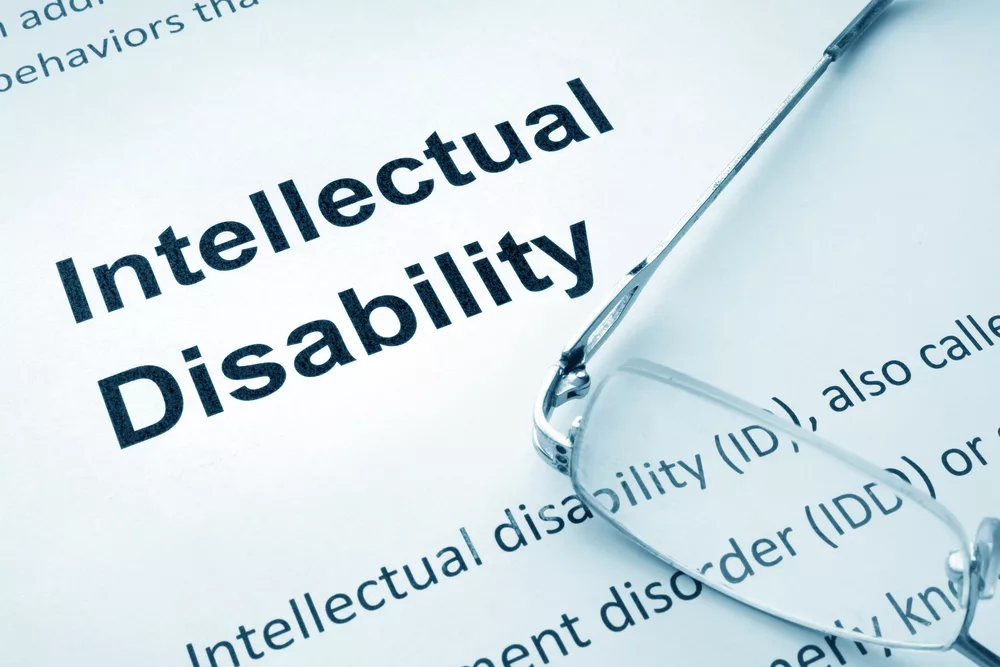 The World of People with Developmental Disabilities: Beyond Misunderstanding to Understanding