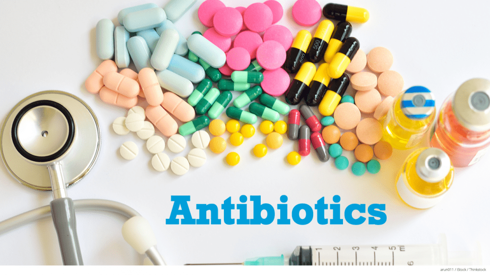 “Antibiotics: A Panacea?” Revisiting the Risks of Overuse