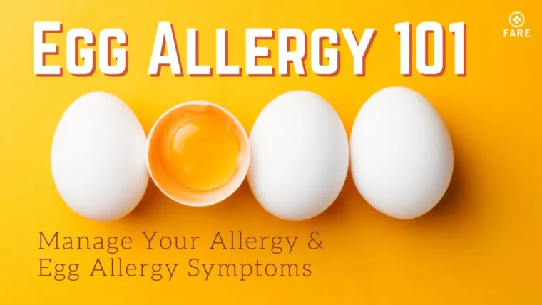 Egg Allergy 