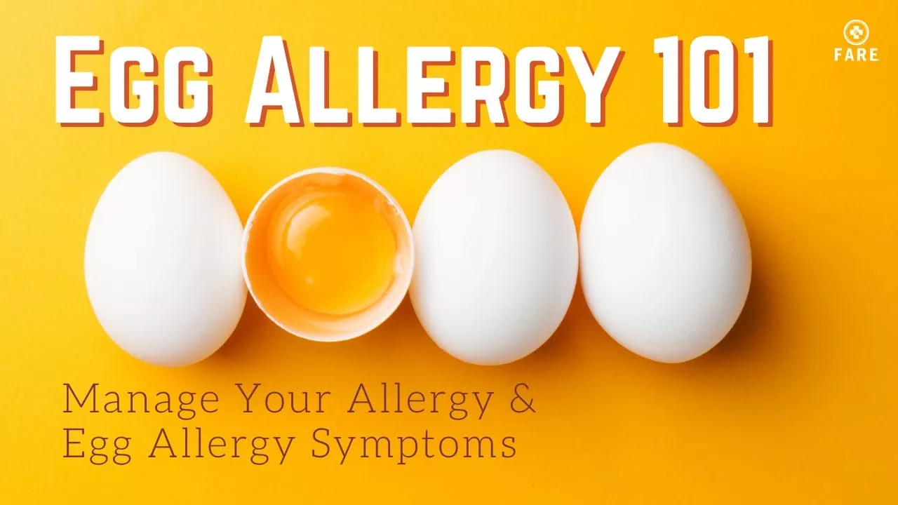 Understanding Egg Allergy – Causes, Symptoms, and Treatment Methods