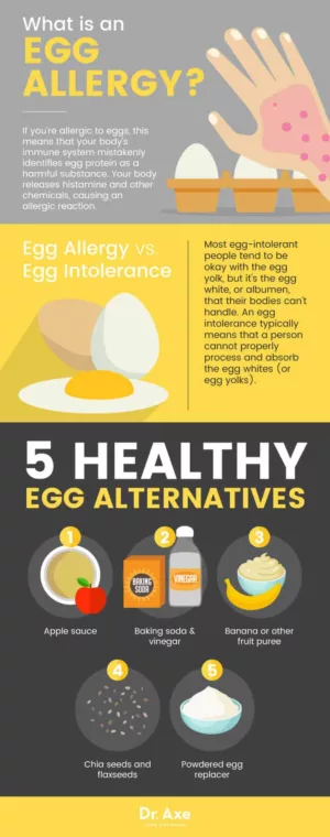 Egg Allergy 