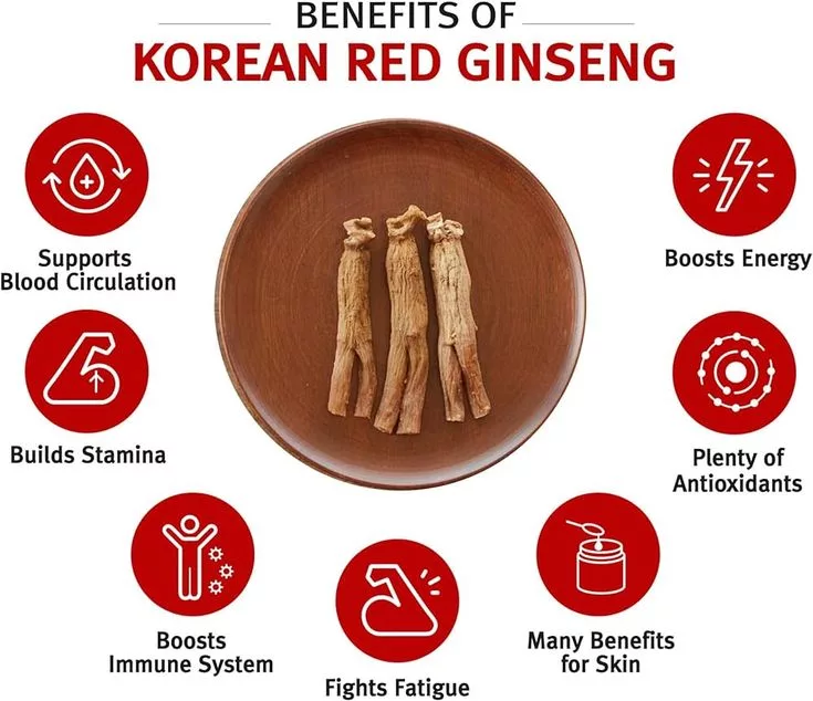 The Power of ‘Red Ginseng’! Exploring Its Benefits and Proper Dosage