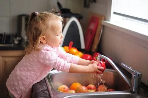 Guide to Food Safety: Fruits You Must Wash