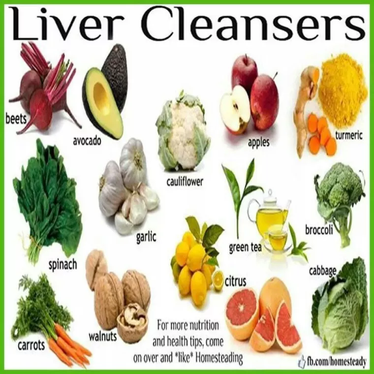 Liver