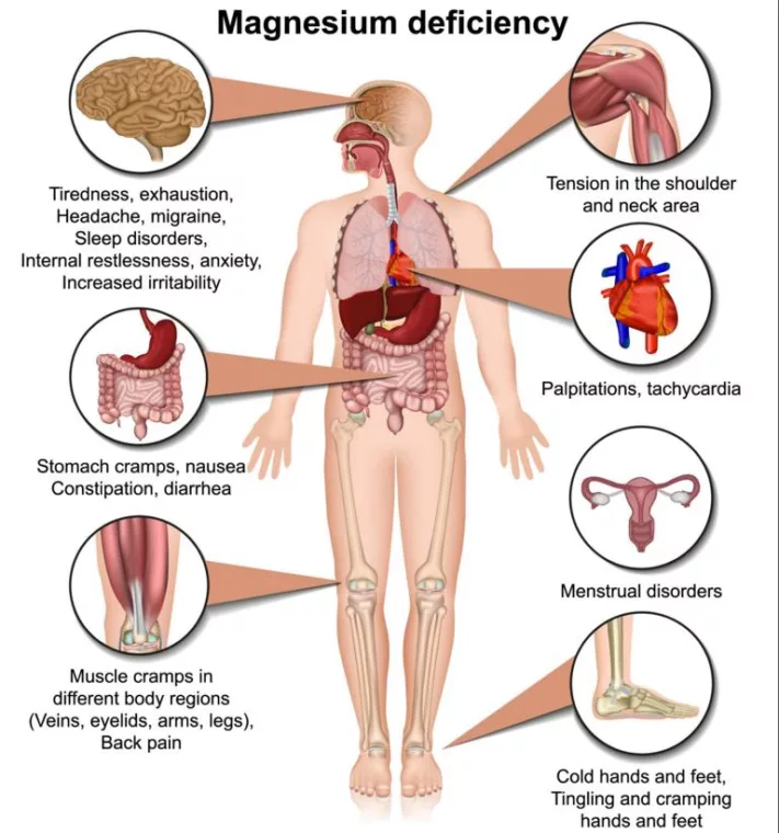 Magnesium