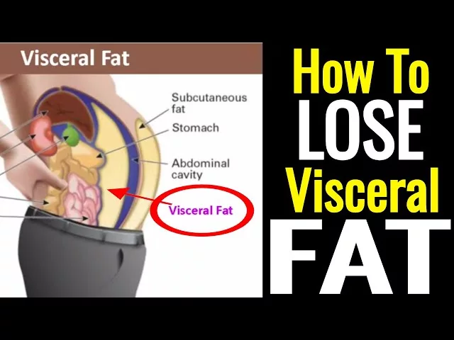 The Secret to Visceral Fat Diet: An Essential Guide for Healthy Weight Loss