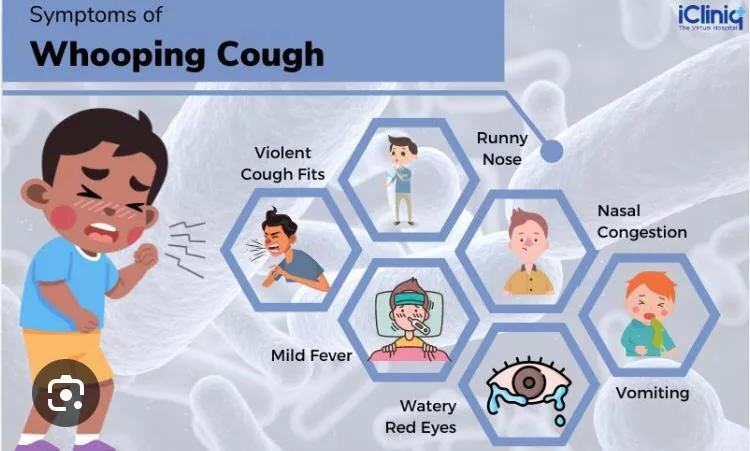 Whooping Cough