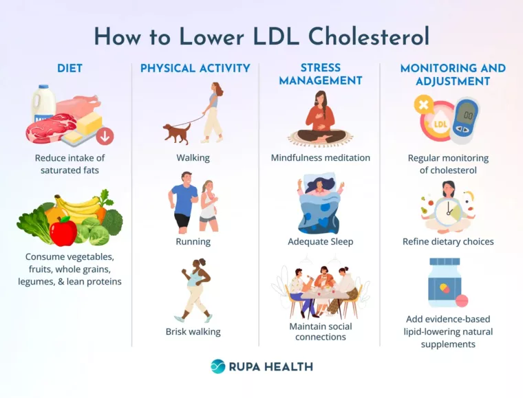 Cholesterol