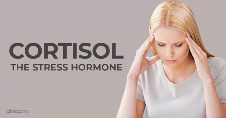  Cortisol 