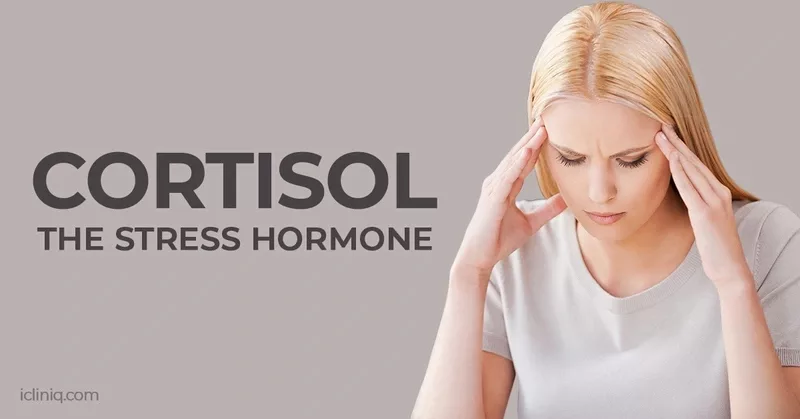 Exploring Stress Hormone Cortisol